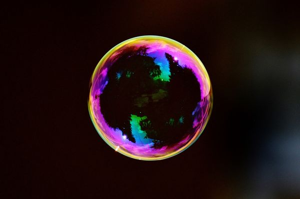 Repetition, Bubbles, and Immune Systems: Why We Must Start Dreaming Again