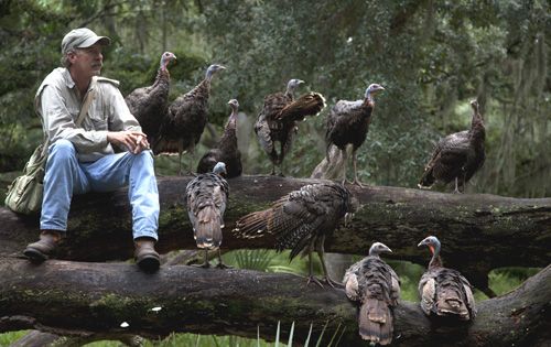 Must Watch: ‘My Life As A Turkey’