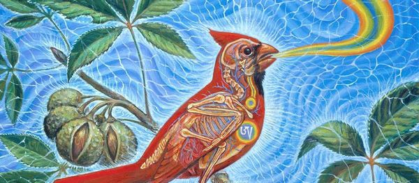 For The Love Of God – The Divine Art Of Alex Grey