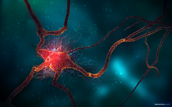 5 Ways To Harness Neurogenesis: Boost Your Brain