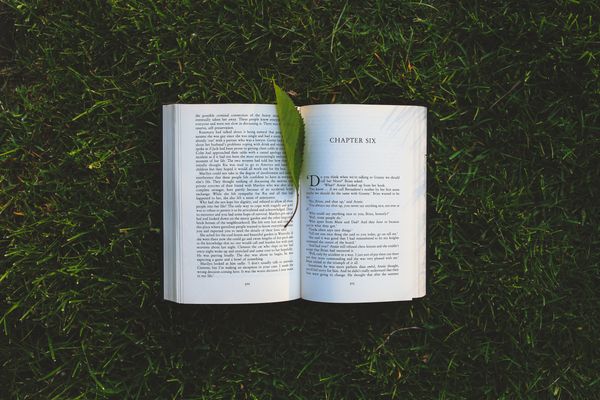 10 Best Positive Psychology Books You Need To Read For Authentic Change