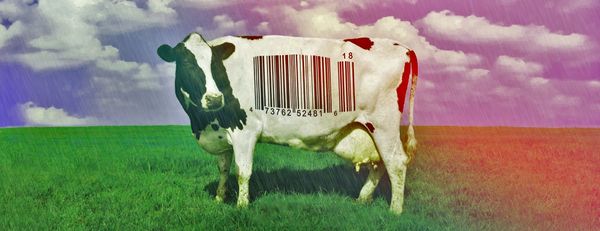 Food, Inc: The One Documentary to Watch to Understand the Unsettling American Food Industry