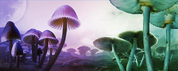psilocybin-and-the-shadow-magic-mushrooms-as-a-tool-for-healing-emotional-trauma