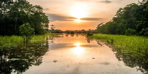 From College Dropout to Shaman Apprentice: A Story of Becoming a Leader of the Secoya and Protecting the Vanishing Amazon