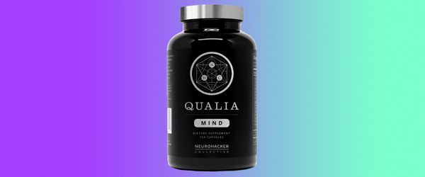 qualia mind review neurohacker collective jordan greenhall daniel schmachtenberger limitless pill jordan bates highexistence