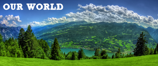 We Live In A Beautiful World