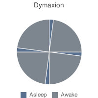 dymaxion dymaxion