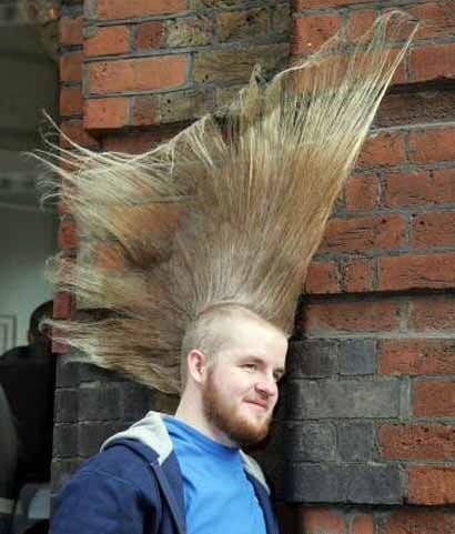 crazyhair