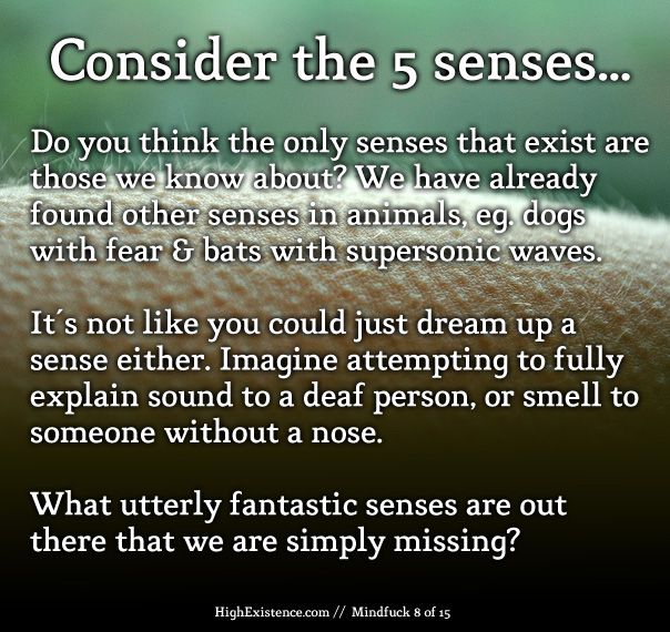 senses 8) The 5 Senses Do you think the only senses that exist are those we know about? We have already found other senses in animals, eg. dogs with fear & bats with supersonic waves. It's not like you could just dream up a sense either. Imagine attempting to fully explain sound to a deaf person, or smell to someone without a nose. What utterly fantastic senses are out there that we are simply missing?