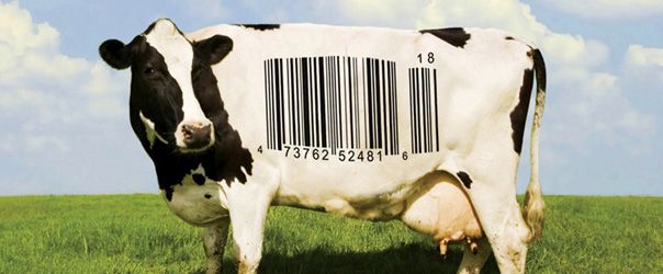 food-inc