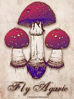ecosystem oneness