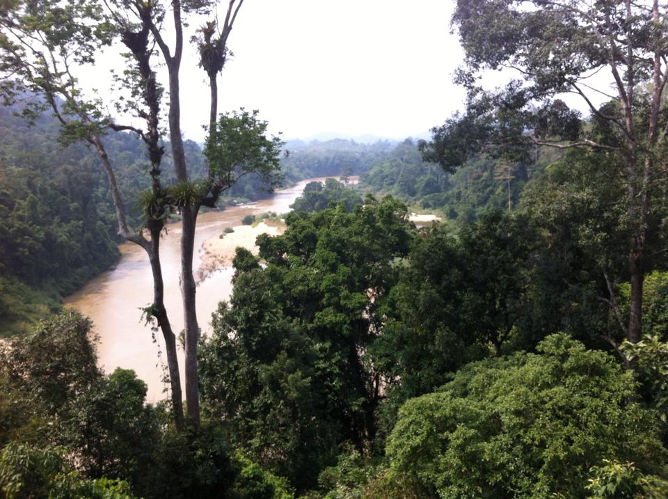 View from the canopy in the Taman Negara rainforest in Malaysia.