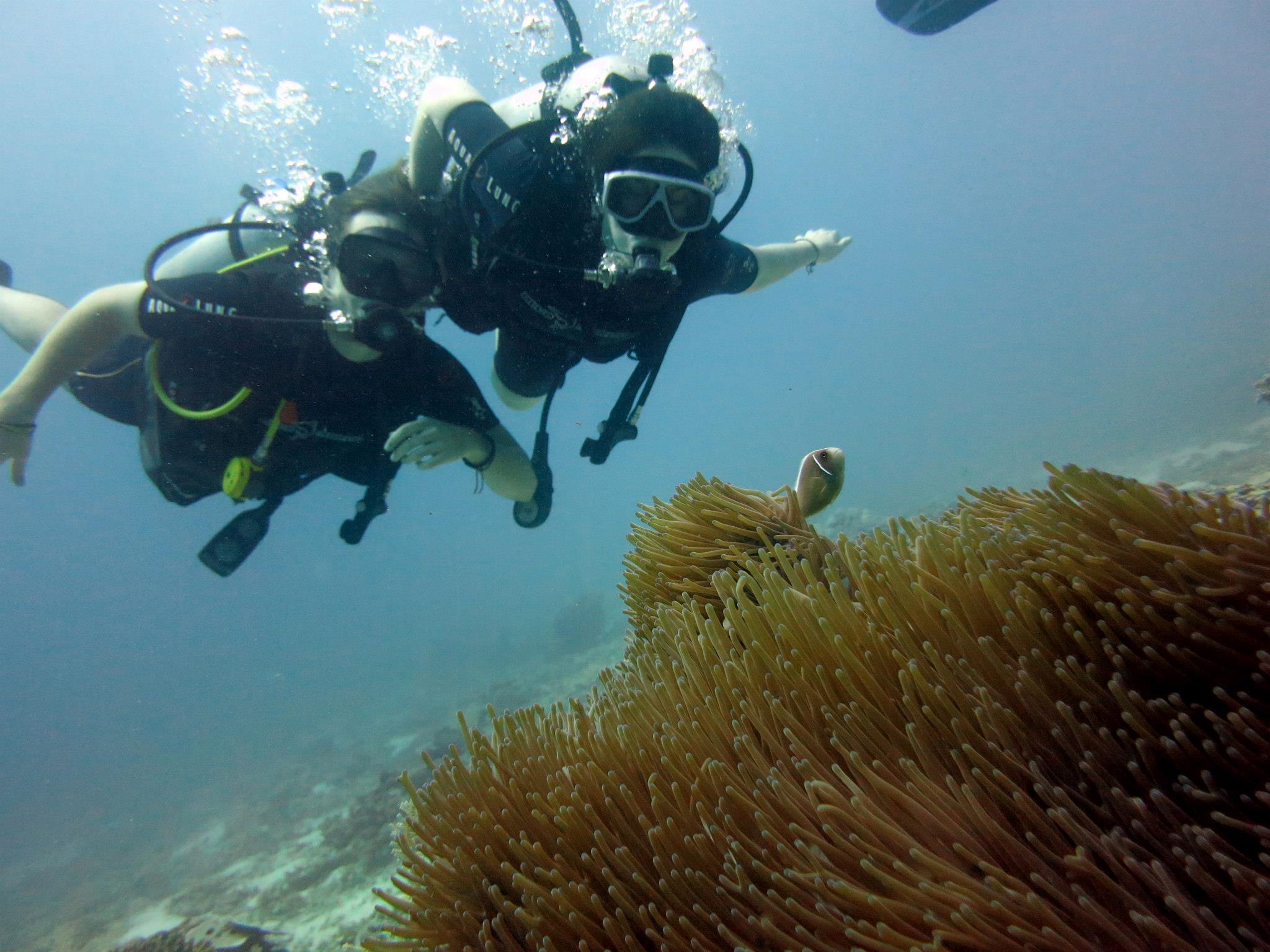 Scuba diving in the Gili Islands, Indonesia.