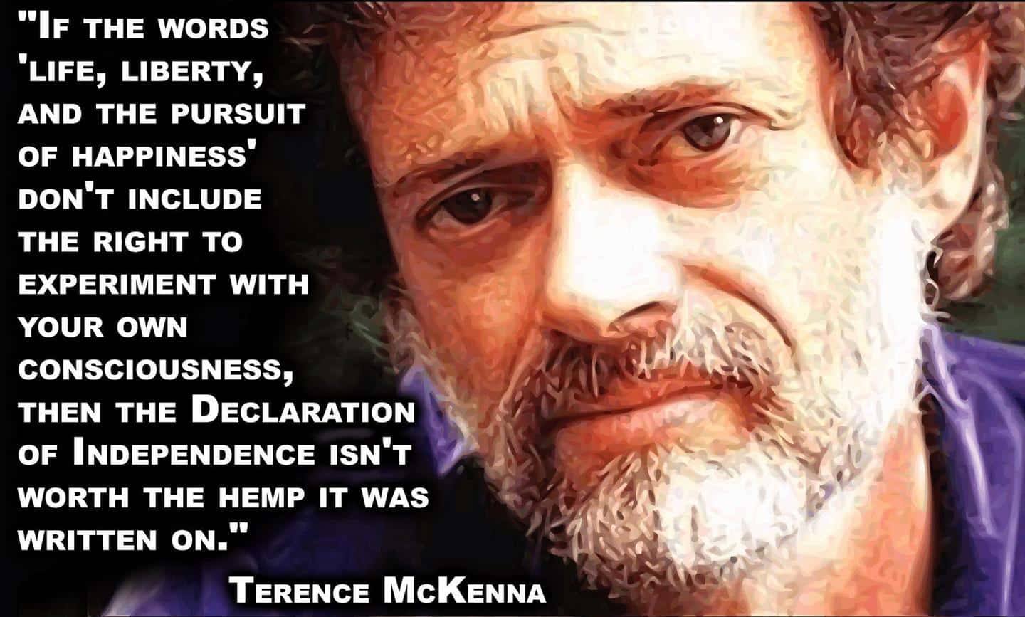 Terence McKenna quote