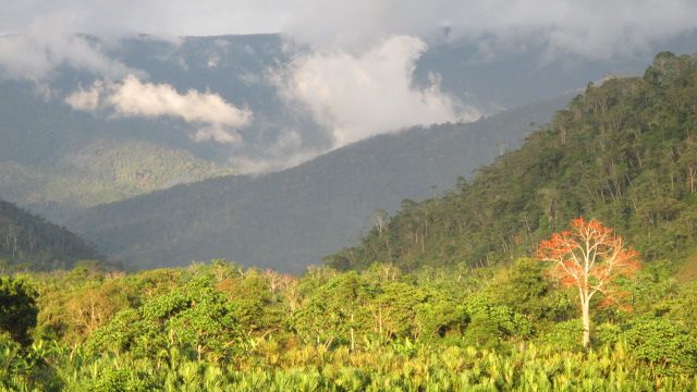 Image: Cordillera del Cóndor region, in southeastern Ecuador