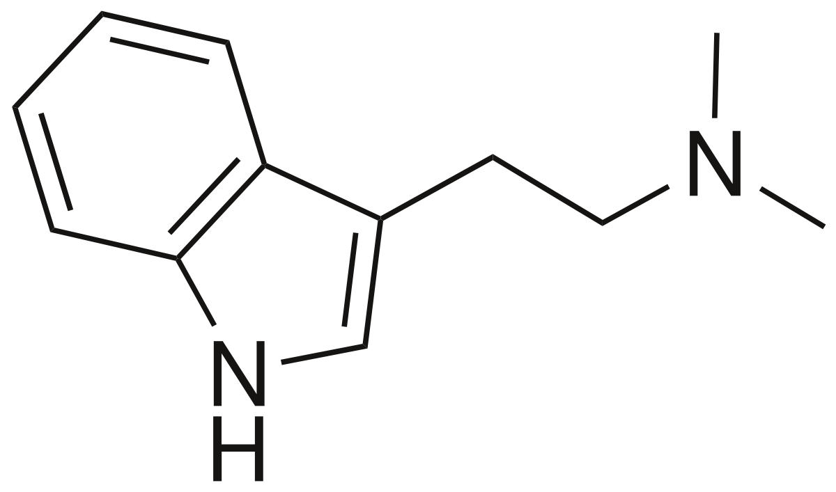 dmt drug chemistry