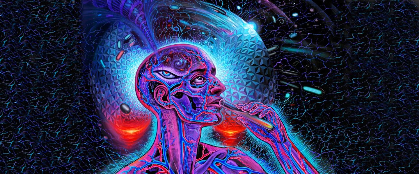 dmt experience drug trip