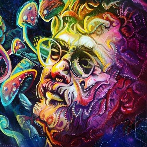 terence mckenna quotes psychedelics ego culture life