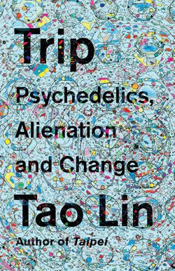 interview tao lin trip psychedelics beyond existentialism