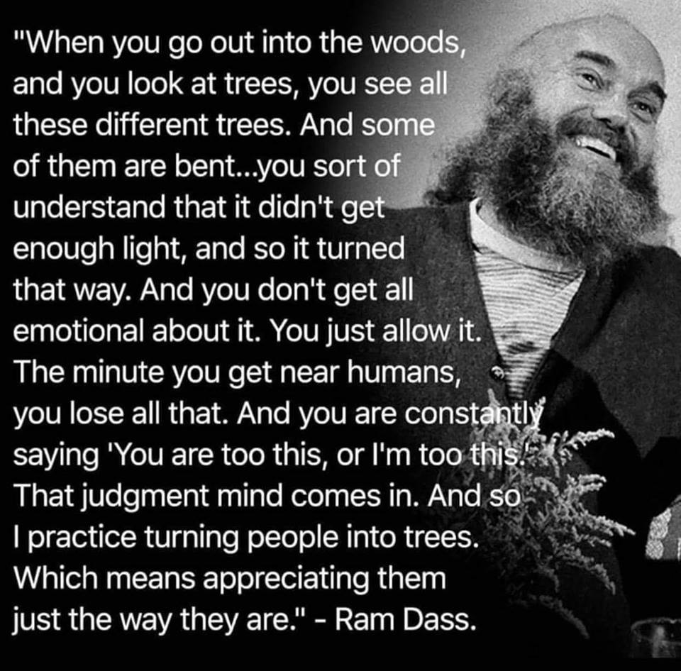 ram dass appreciate trees be here now