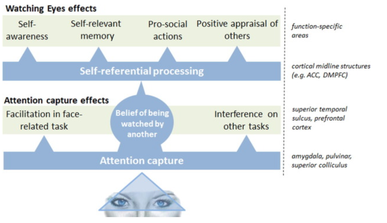 mirror meditation eye gazing highexistence